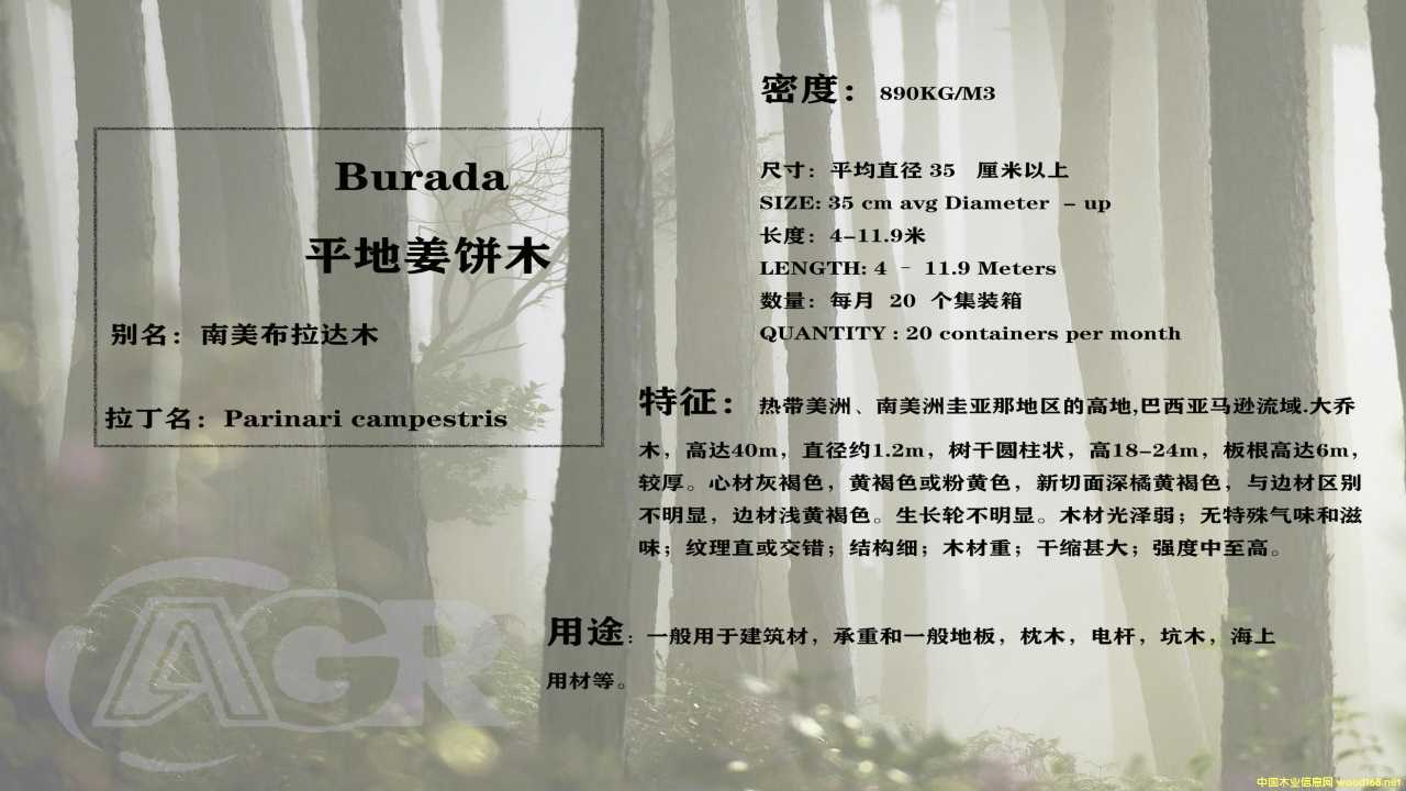 ƽ�ؽ��?z��i)���Ԕ����B