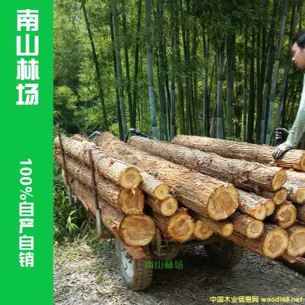 �ֈ�(ch��ng)ֱ��-������ɼľ�� ɼľ�lɼľ�� ��������ʹ��ľ�� ���