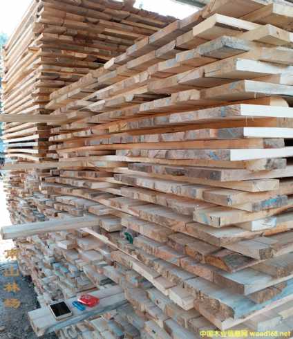 ����ľ��ľ�l ��(sh��)ľ��� �����^���ߵ� ���� ¶�����_(t��i)���ʹ��