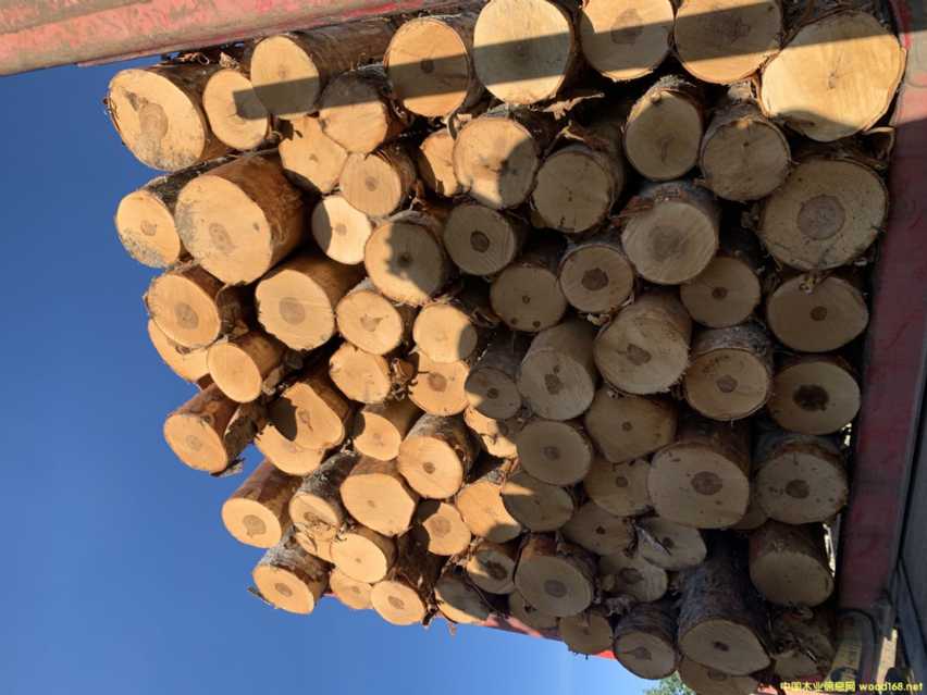 ���_˹��(y��u)�|(zh��)��ľԭľ