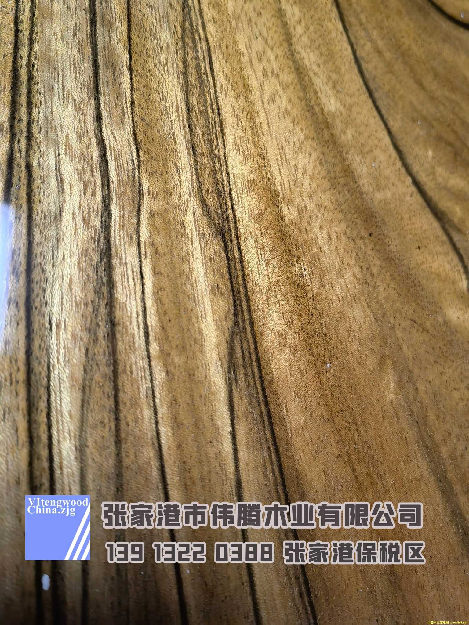 [��] ��TB��˹�� ���� ��z����ľ���Ҹۂ��vľ�I(y��)