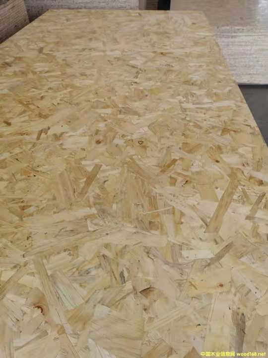 歐松板的詳細(xì)介紹