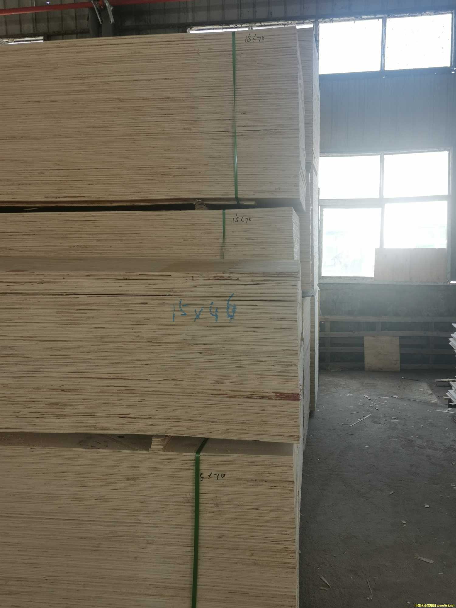 CARBP2��E1��E2 ��ľʮ����� ɳ�l(f��)�� �ɶ���