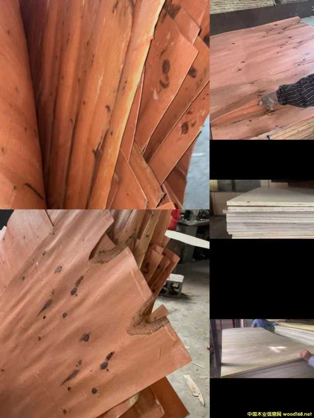  ��Ԕ��(x��)��B