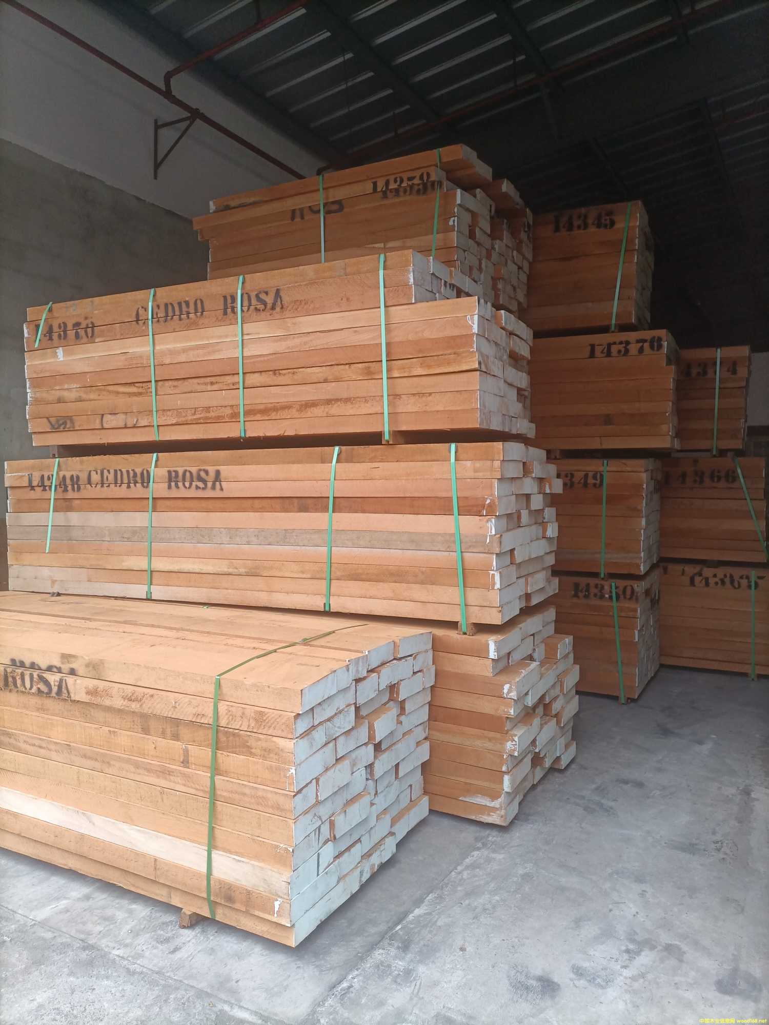 ������ѩ��ľ��Ԕ��(x��)��B