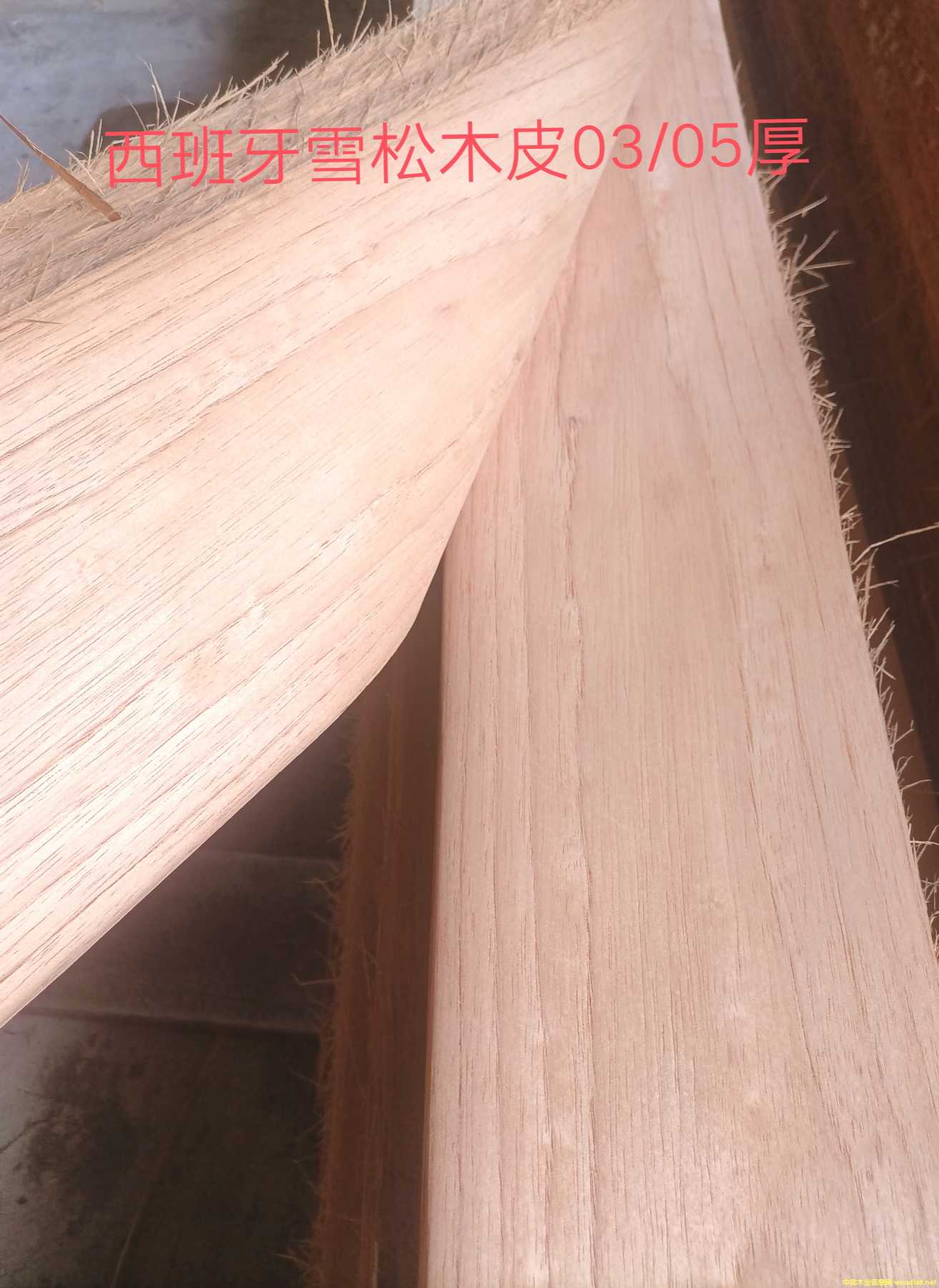 ������ѩ��ľƤ��Ԕ��(x��)��B