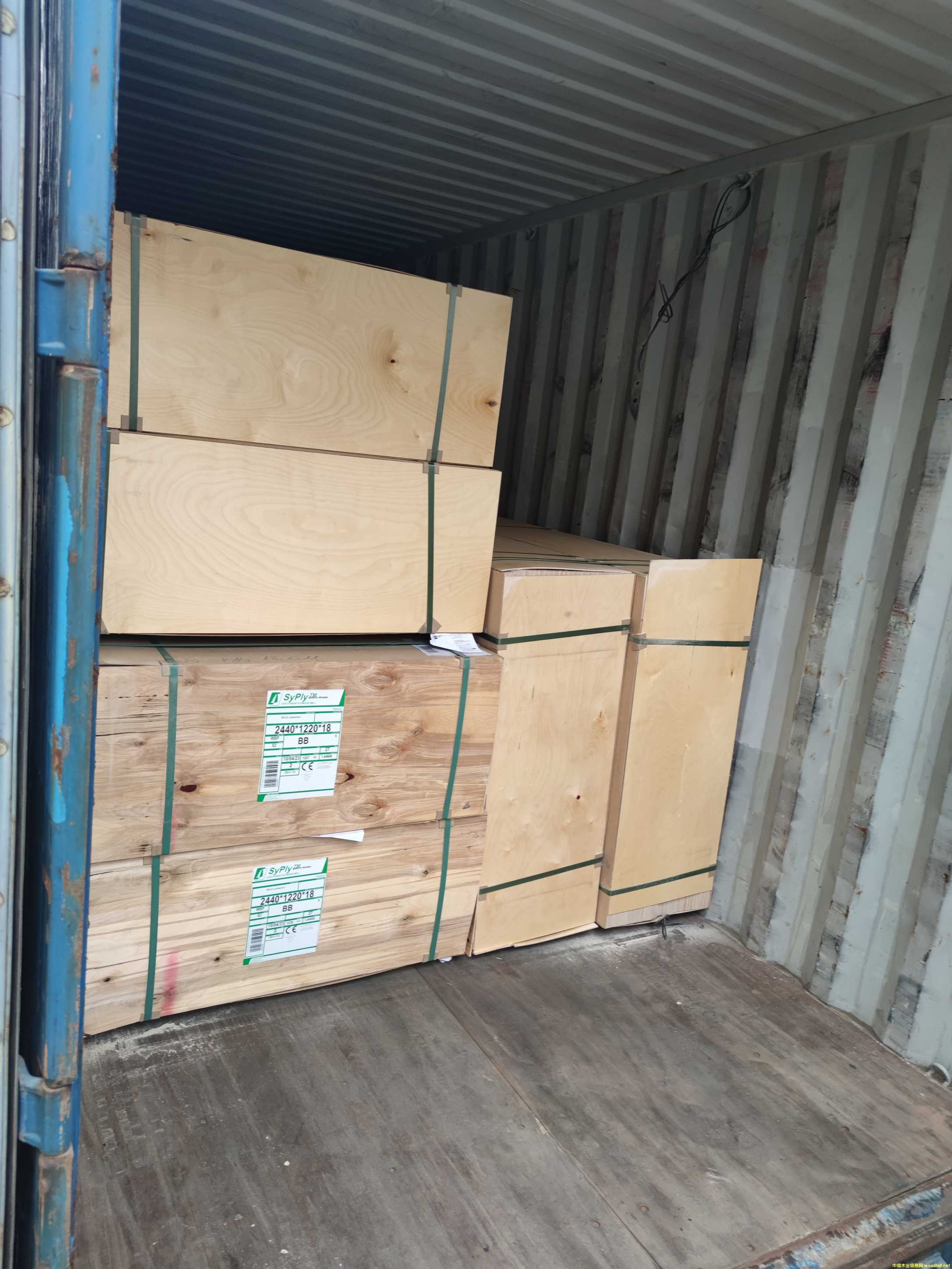 ���_˹�M(j��n)�ژ�ľ�A�庣���