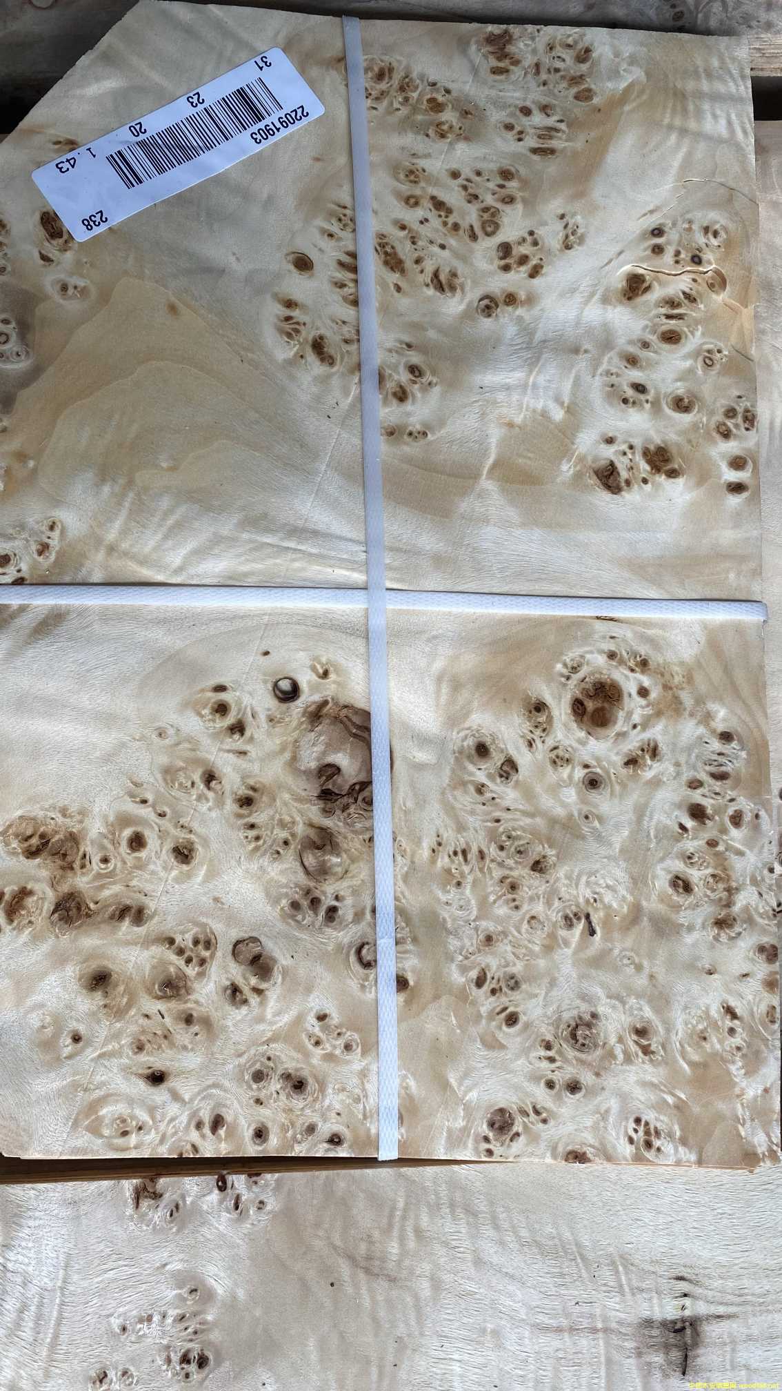 0.6mm�ח����