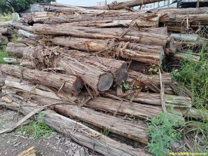 ������֦��Ԕ��(x��)��B