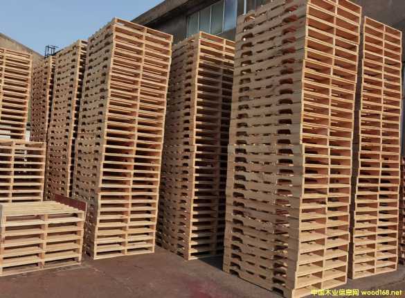 ���(y��ng)ľ�бP(p��n)