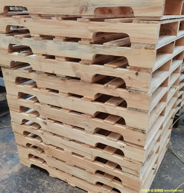 [��] ��ꖶ���ľ�бP