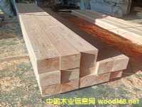 �����������������ɡ������Sɼ