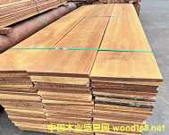 ������ľ����֬ľ��Ѫ��(sh��)��������̩��