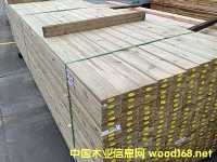 ���mľ����ľ������ľ���mľ�����mľ