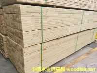 �����ɡ�����ľ�������ɷ���ľ ���ɶ��Ƴߴ�  