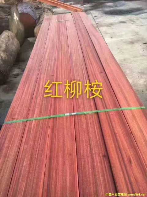 �t����������ľ�t�������t�������ľ