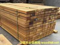 ���}�������޲��}�񣬲��}�����ľ