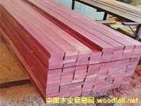 Ǫ�Ĉ@������ľ������ľ���t����