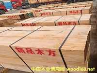 �����mݗ������ݗ���ɷ���ľ������ľ�����mݗ����