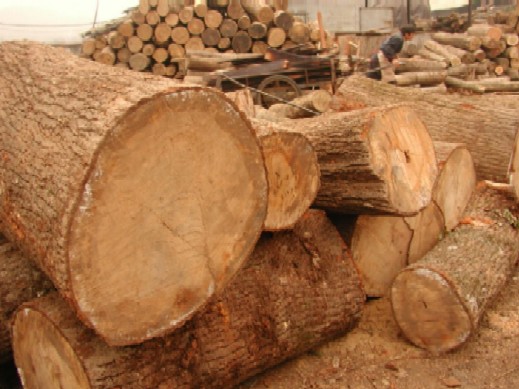 �Aľ�ϵ�Ԕ����B