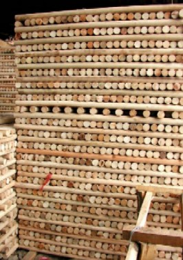 ľ����Ԕ����B