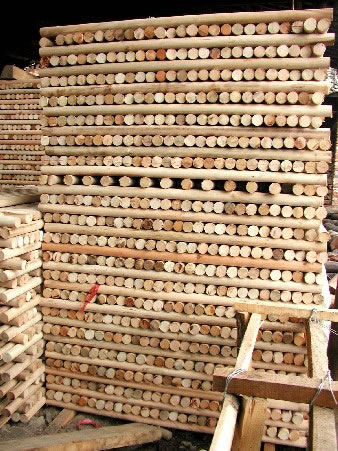 �c(di��n)���鿴ľ���Ŵ�DƬ