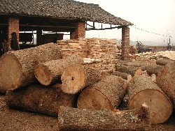 �c(di��n)���鿴���ľ(ֱ��20-80)�Ŵ�DƬ