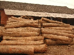 �c(di��n)���鿴��ľԭľֱ��(20-60CM)�Ŵ�DƬ