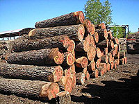 �½������t��ľԭľ��Ԕ����B