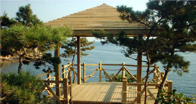 HOOVER�����Ϸ��ɷ�����