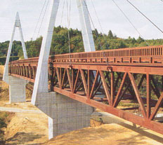 HOOVER�����Ϸ��ɷ�����