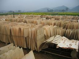 ��ľо���Ԕ��(x��)��B