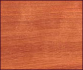 �һ�о��(x��)ľ�����Ԕ��(x��)��B