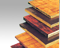 ���z���Ԕ��(x��)��B