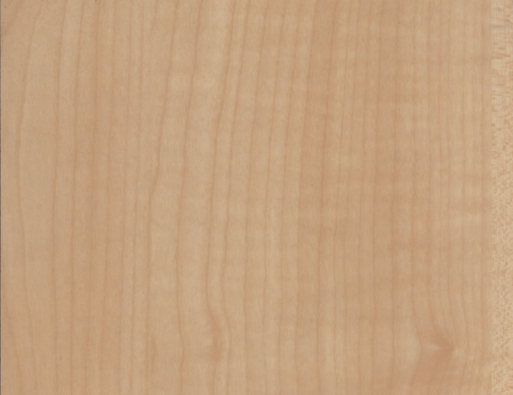 �P�ӽz�I�濹�����e�����ذ��Ԕ����B