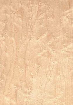 ��ľ�N���Ԕ��(x��)��B