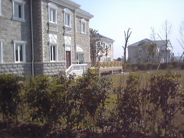 ����ľ�ĵ�Ԕ����B