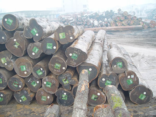 ���u���Ԕ��(x��)��B