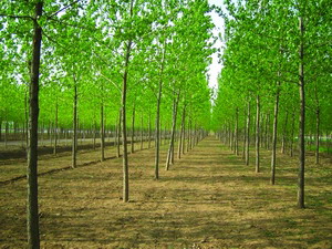 ������ĵ�Ԕ��(x��)��B