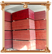 ����ģ���Ԕ����B