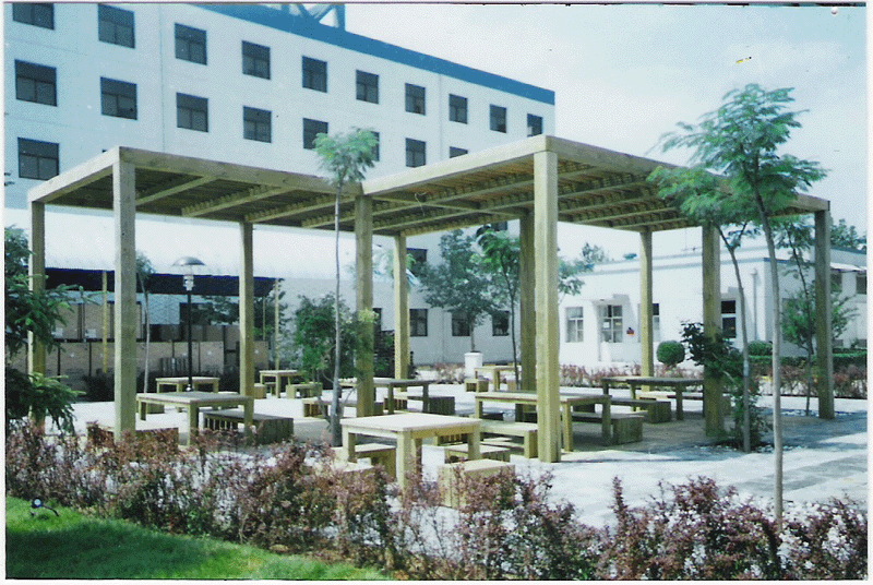 ����ľ��Ԕ��(x��)��B