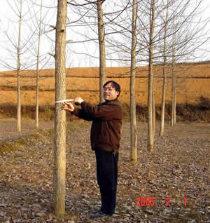 �F�ݻ��ؘO�ѵ����ؗl����Ԕ����B