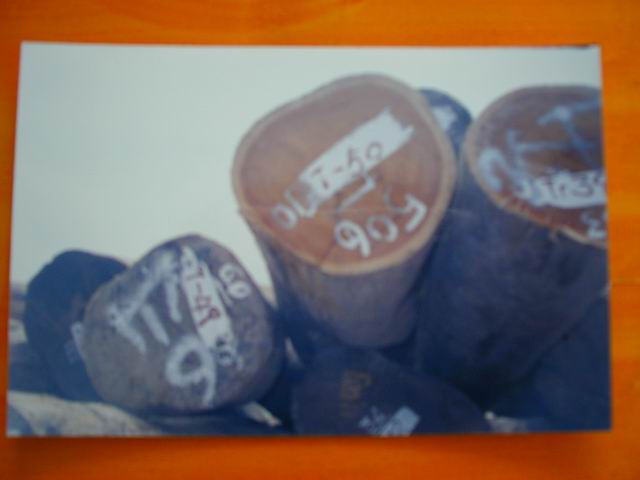 �|�ρ��a(ch��n)