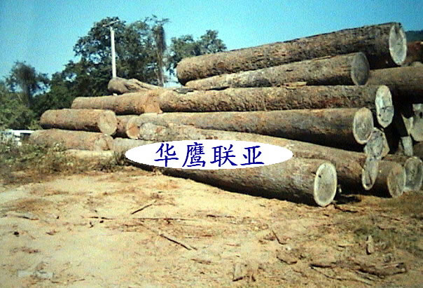 �t�����Ԕ����B