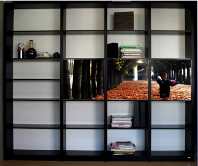 ӆ�ƕ����Ԕ��(x��)��B