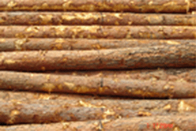 ���~�ɵ�Ԕ��(x��)��B