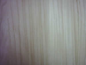 ͩľƴ���Ԕ��(x��)��B