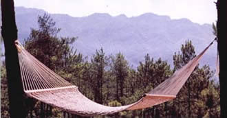 �c(di��n)���鿴Cotton Roag Hammock�Ŵ�DƬ