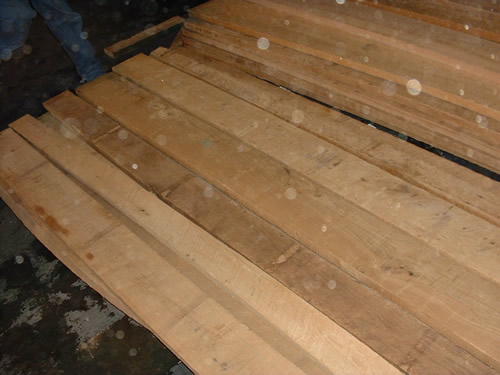 ��������ľ��Ԕ����B