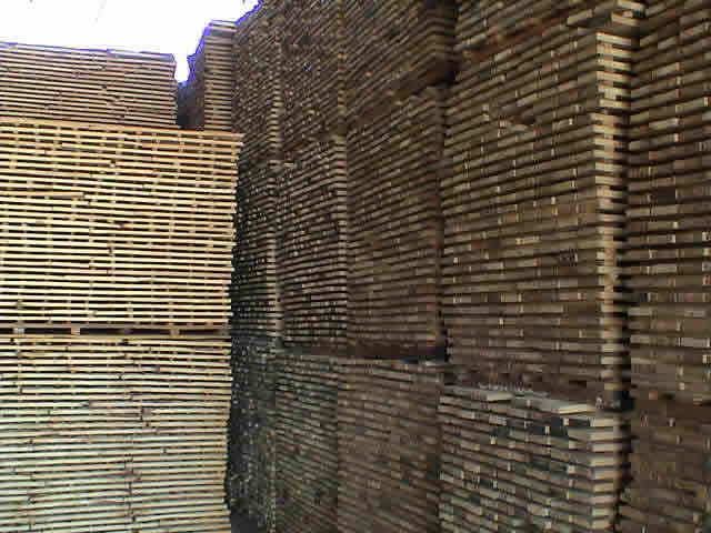 ��(sh��)ľ�ذ�(ָ��)��Ԕ��(x��)��B